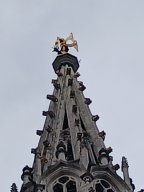 whatsapp image 2026-01-16 at 23.05.55 5